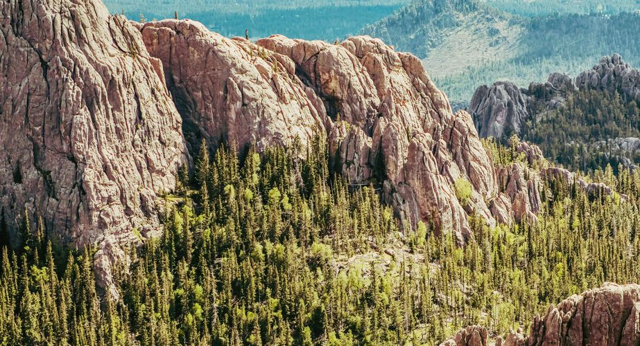 Wild USA Nieuw 17 Wild USA Nieuw 17